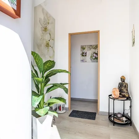 Apartment Medano Time El Medano (Tenerife)